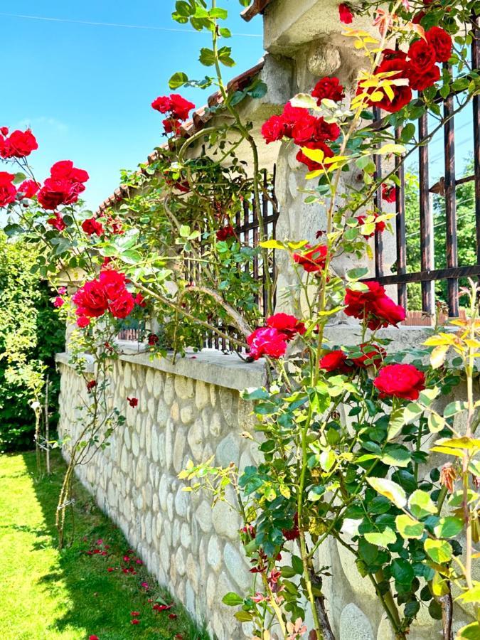 Villa Rila Garden Beli Iskar Eksteriør bilde