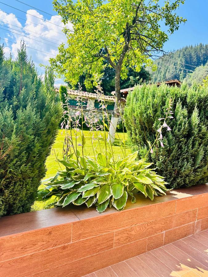 Villa Rila Garden Beli Iskar Eksteriør bilde